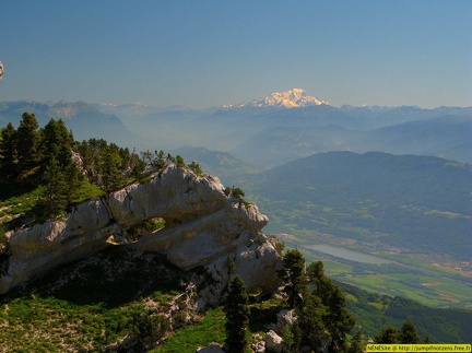 Chartreuse 03 Mont Blanc