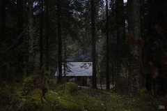 La cabane au fond des bois